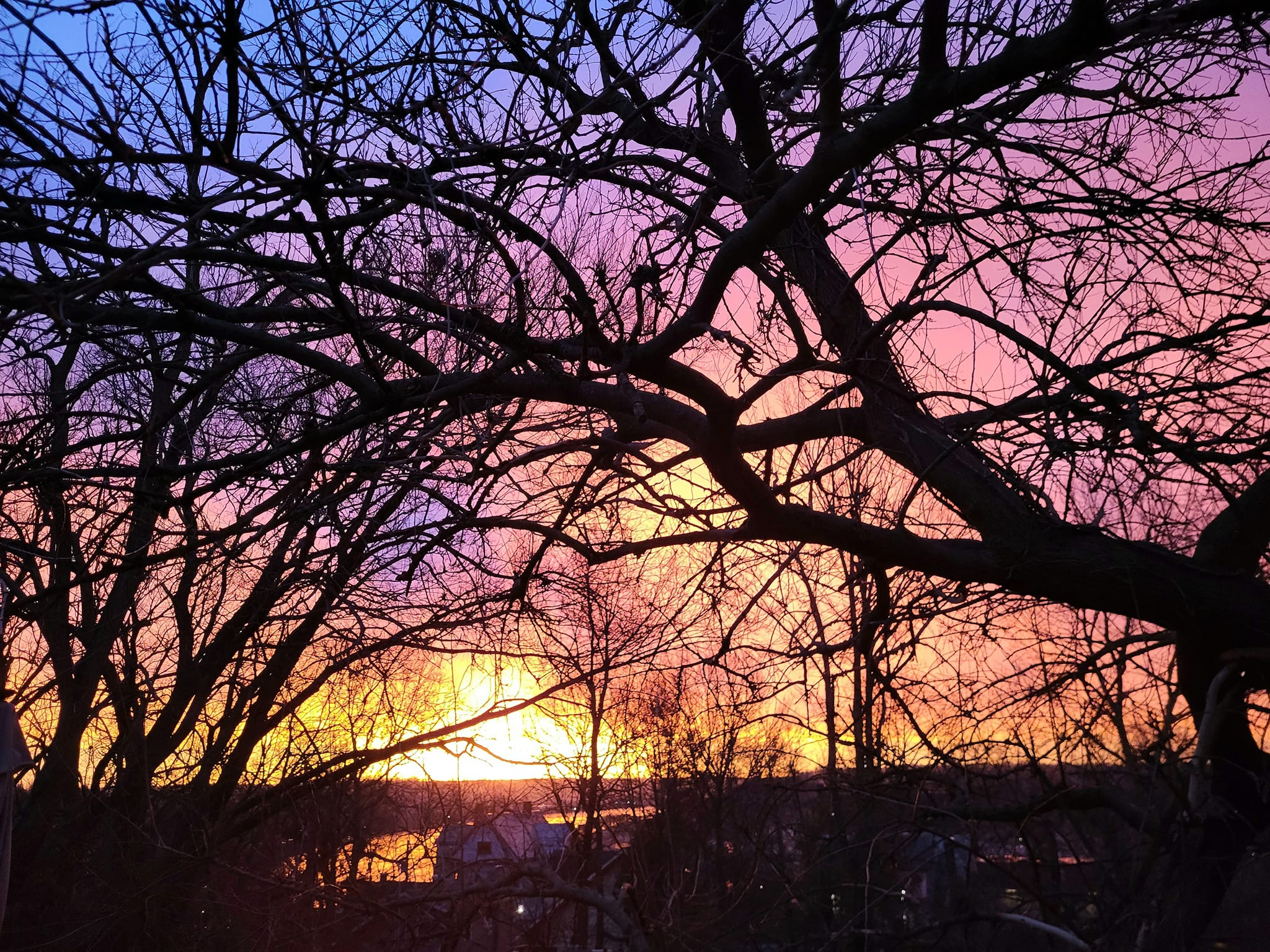 sunrise over Blue Haven deck with trees silhouetted